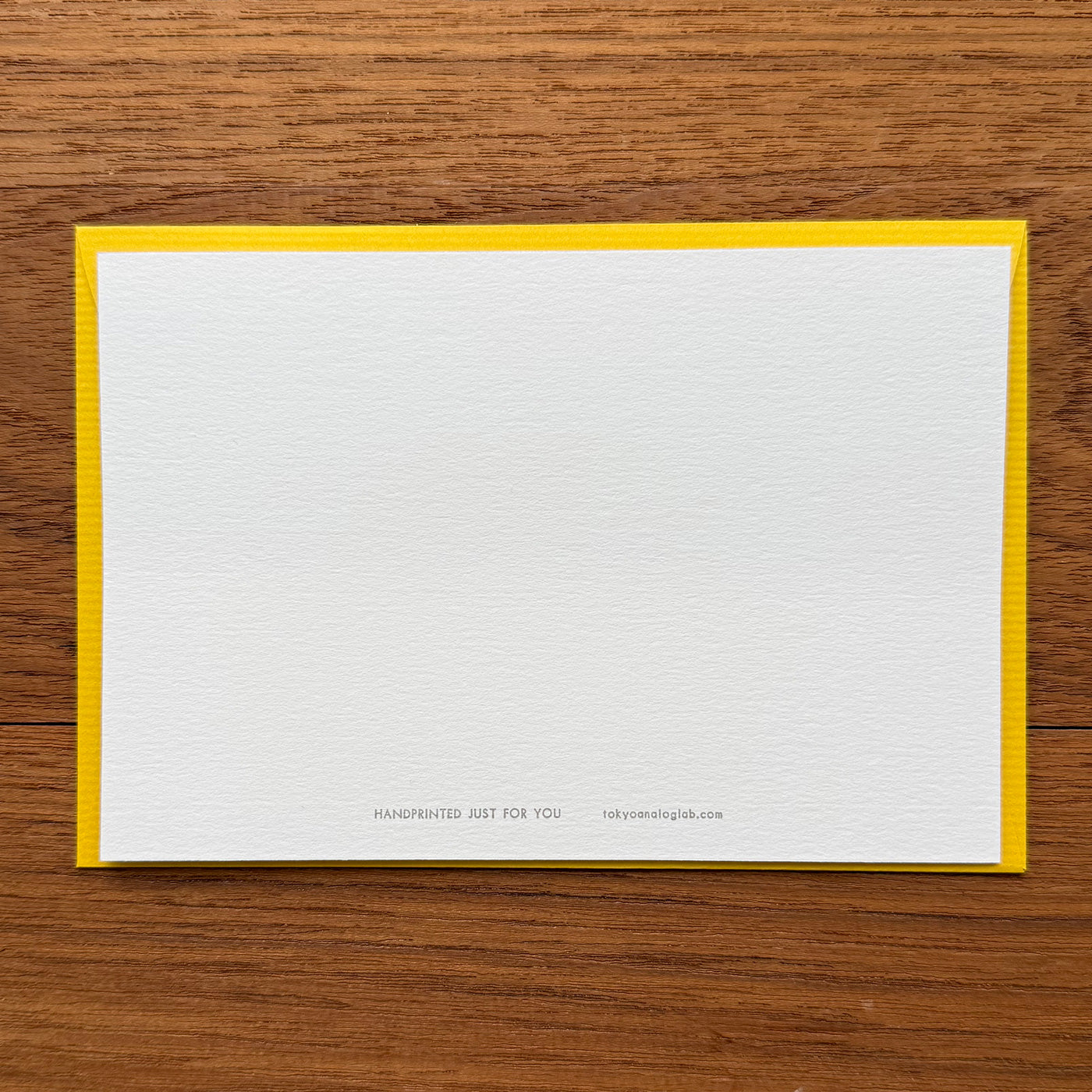 東京アナログラボラトリー / Tokyo Analog Lab.