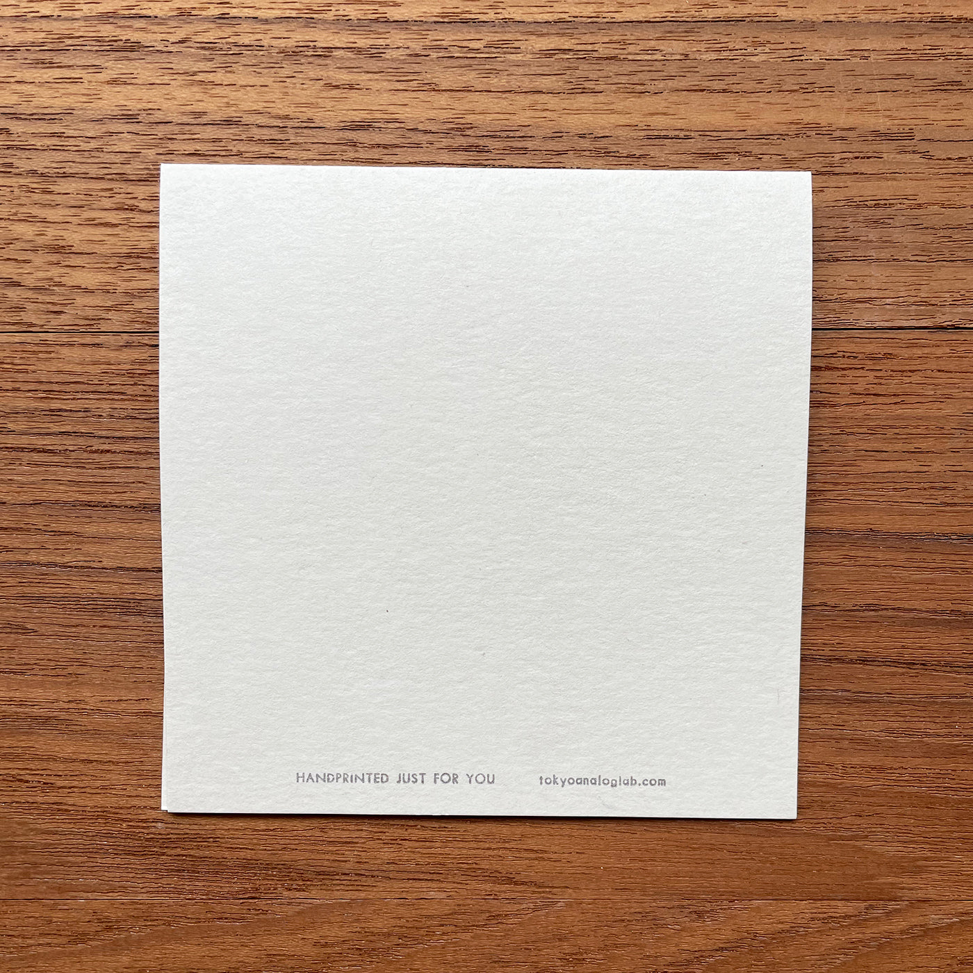 二つ折り正方形カード / square greeting card "Cheers!"