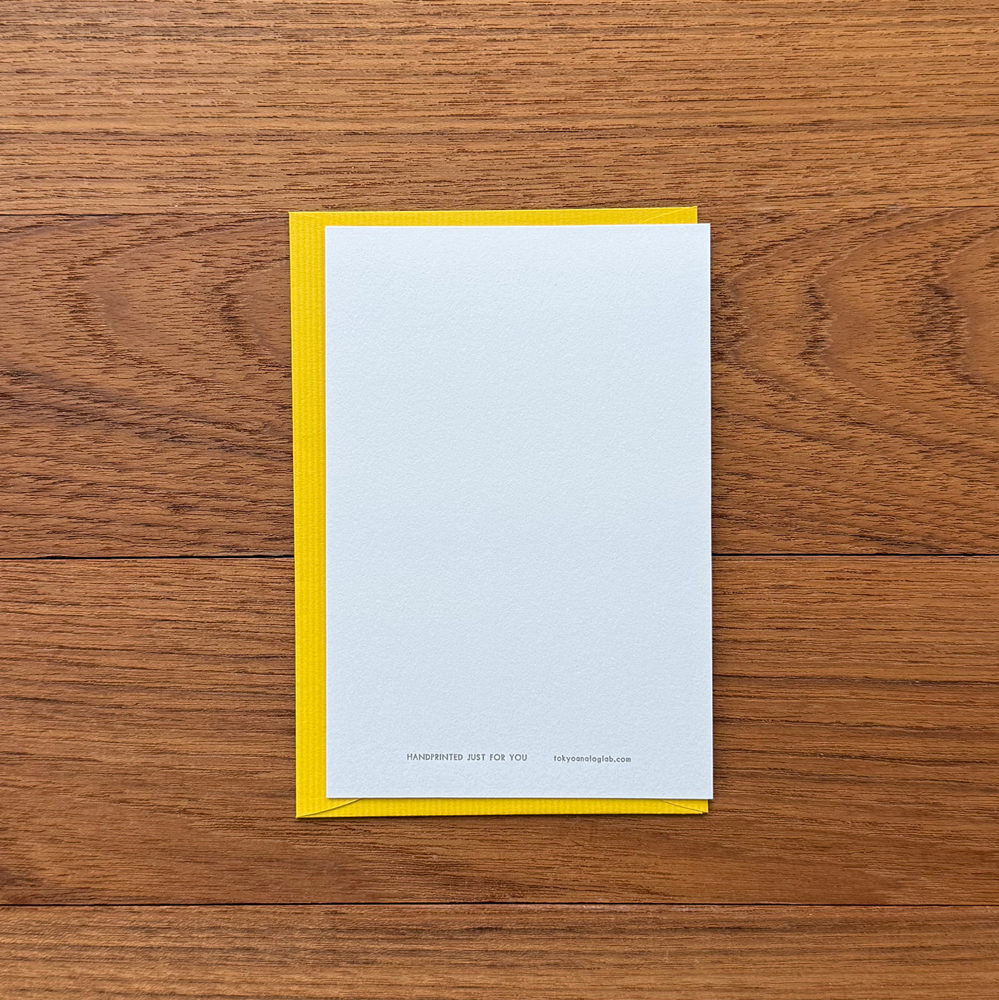 東京アナログラボラトリー / Tokyo Analog Lab.