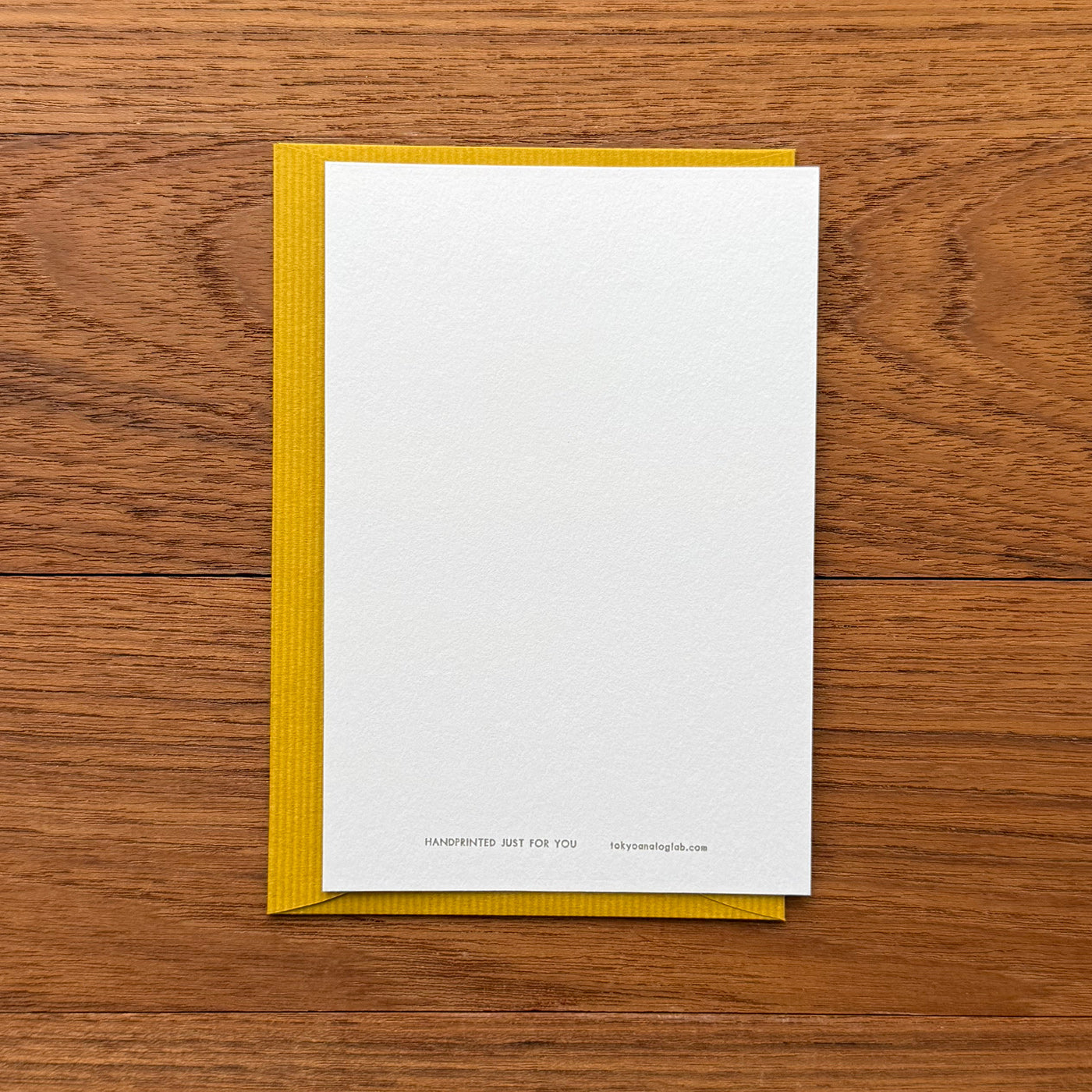 東京アナログラボラトリー / Tokyo Analog Lab.