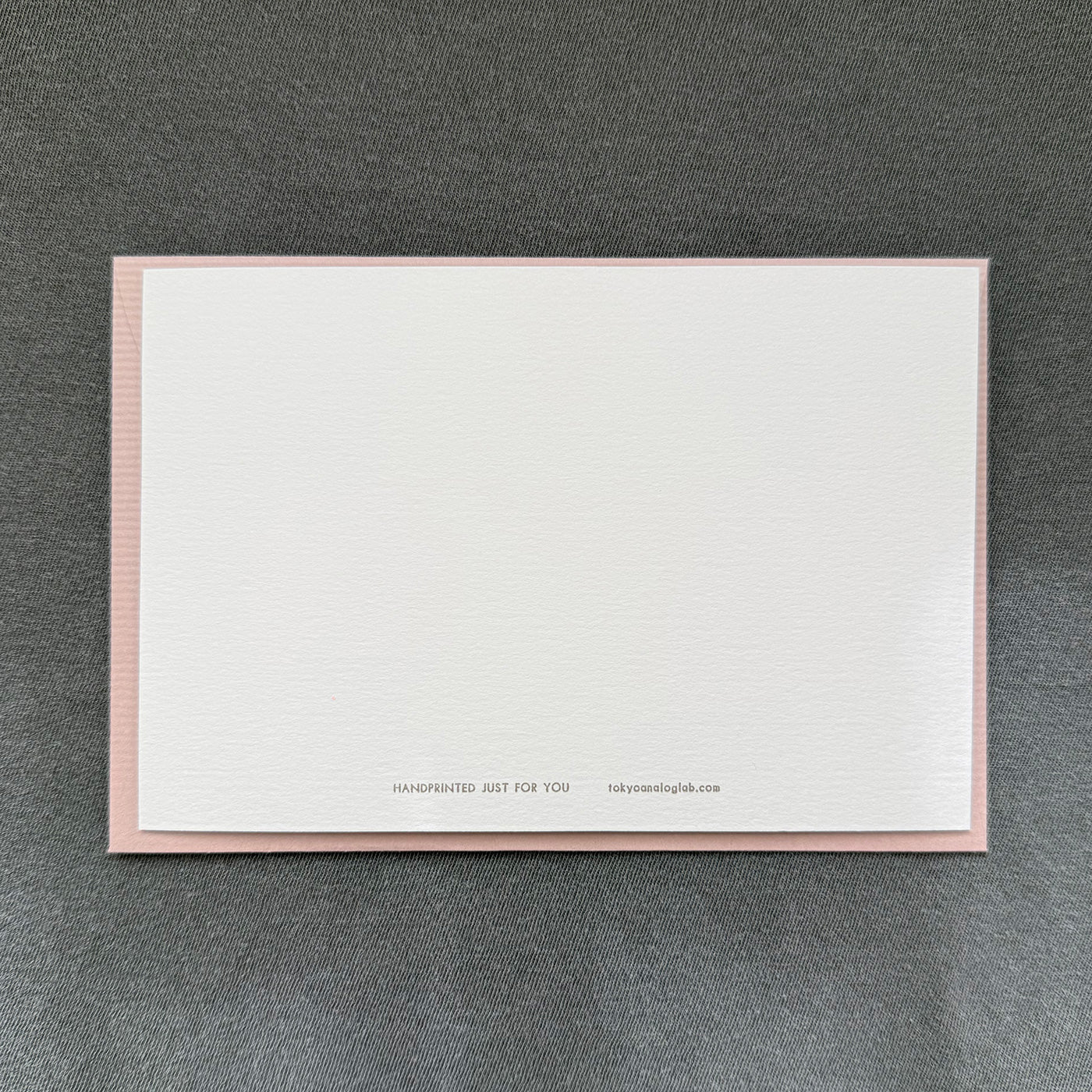 東京アナログラボラトリー / Tokyo Analog Lab.